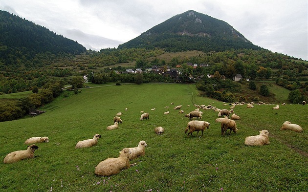 Kulisu kraje kolem Vlkolínce tvoří pastviny a vrch Sidorovo